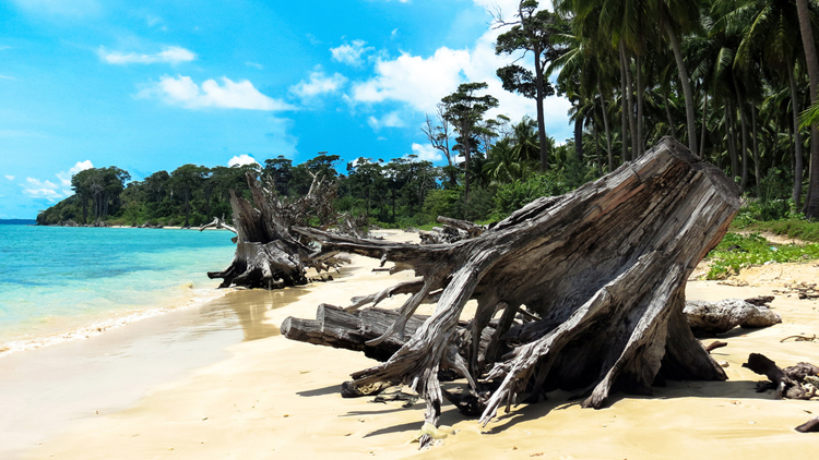 Magical Andaman Tour  6N 7D Image