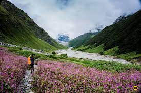 VALLEY OF FLOWERS TOUR