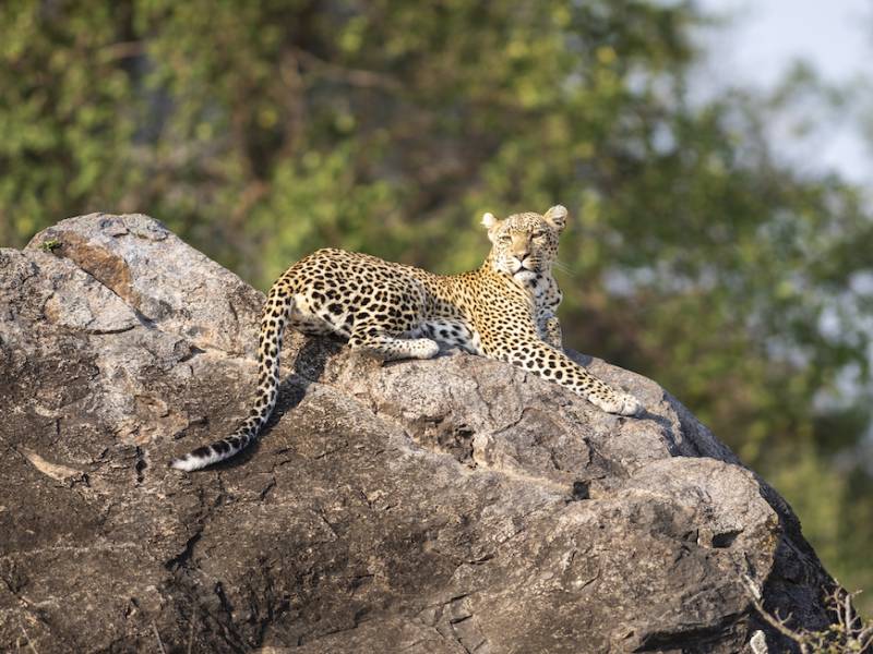 Nyerere National Park( Selous Game Reserve)  3Days/2Nights
