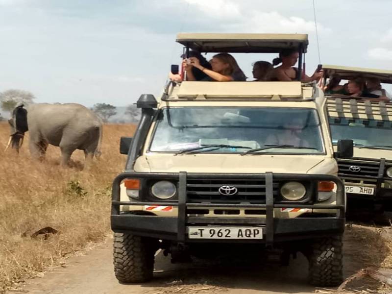 A wonderful trip to Mikumi National Park 3Days/2Nights