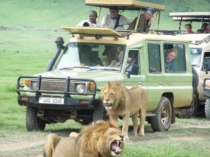 Unforgettable trip Tarangire/Serengeti/Ngorongoro (5Days/Nights)