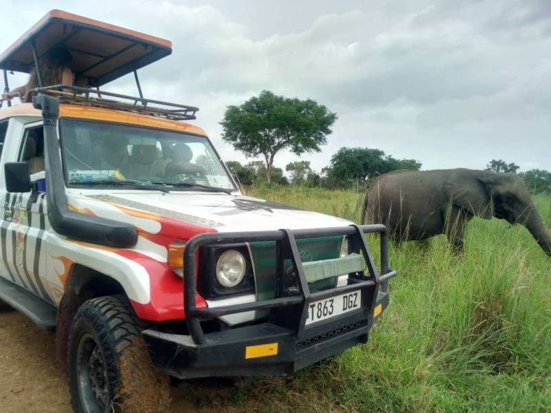 Unforgettable trip Tarangire/Serengeti/Ngorongoro (5Days/Nights)