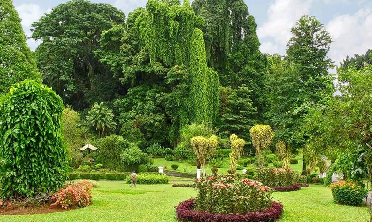 5 nights / 6 Days – 2N Kandy - 2N Bentota – 1N Colombo