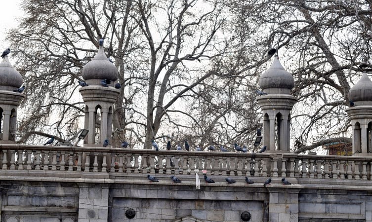 Kashmir Package 06 Nights - 07 Days with 3 Star Hotel