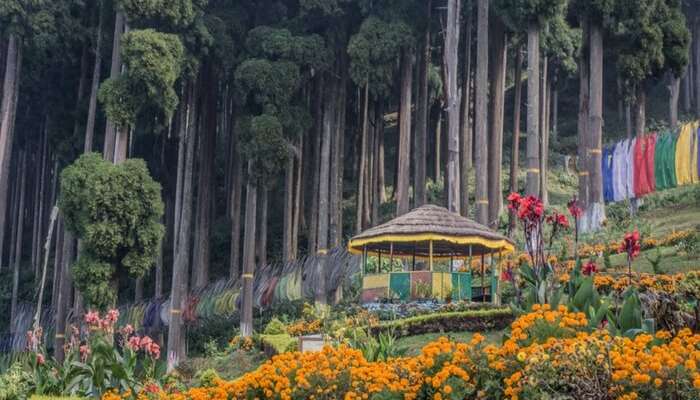 Explore Darjeeling with Kalimpong - North East