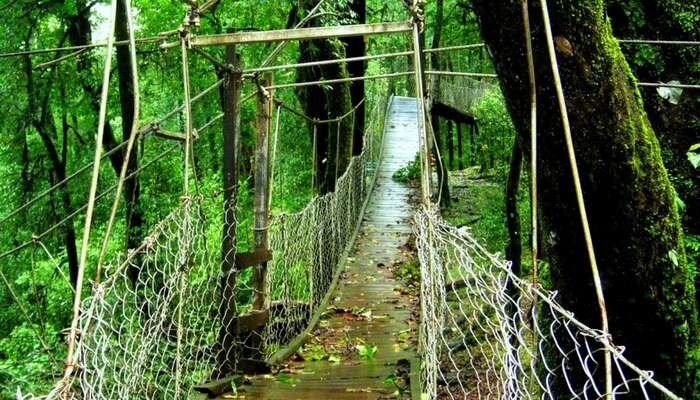 Explore Darjeeling with Kalimpong - North East