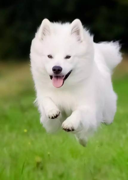 Nainital Package From Kathgodam