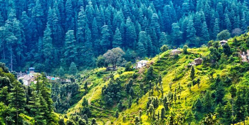 3 Night 4 Day Ranikhet Package