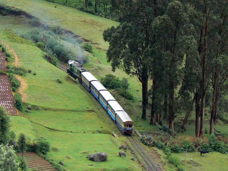 5 Days Ooty - Coonoor - Kodaikanal Tour