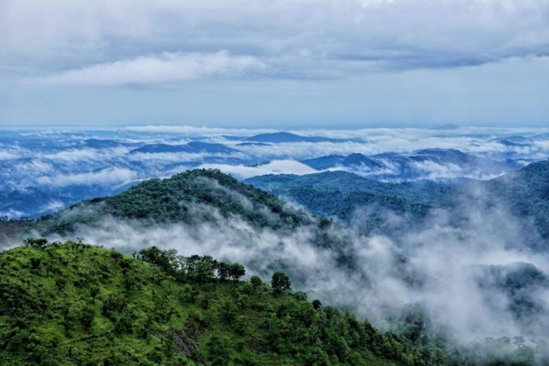 4 Nights Wayanad - Coorg Tour Package