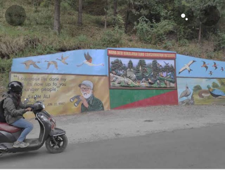 Naini Devi Himalayan Bird Conservation and wildlife Safari.