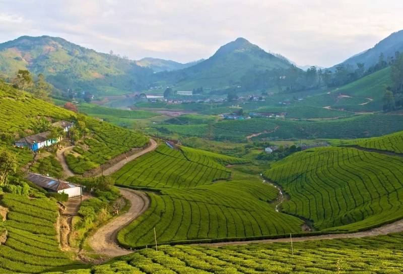 1 Night 2 Days Theni - Megamalai Tour Package