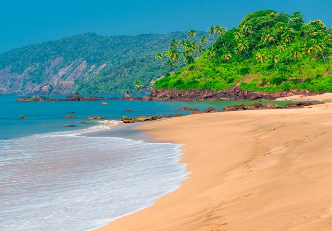 Immersive Goa Exploration Tour 3 Nights/4 Days