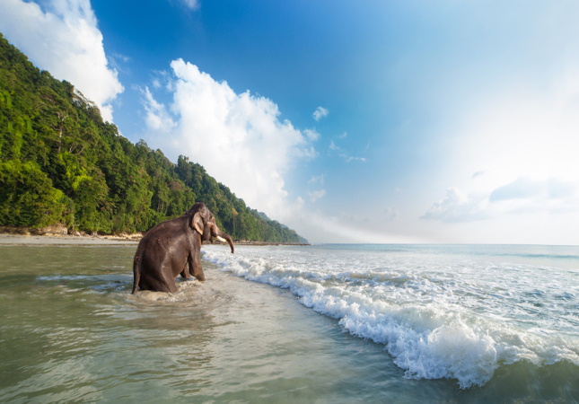 Delightful Andaman Islands 5 Nights/6 Days