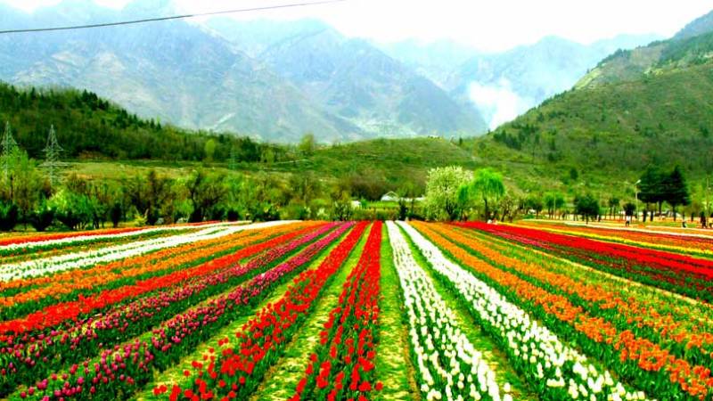 Scenic Gems Of Kashmir Tour 4 Nights/5 Days