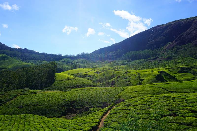 4 Nights 5 Days Kerala Package