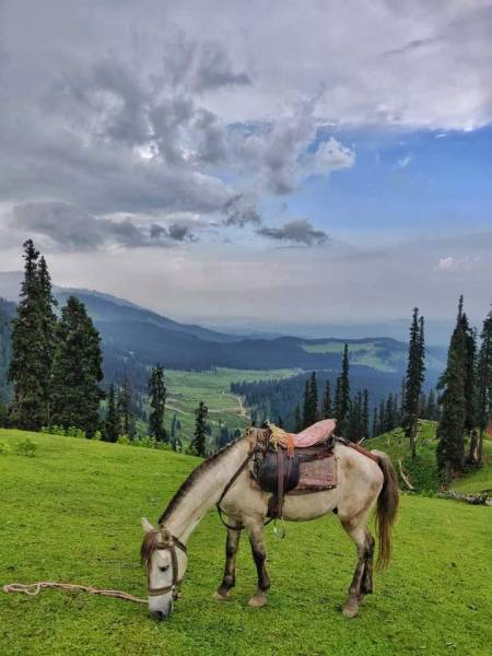 2N 3D Bhaderwah Package