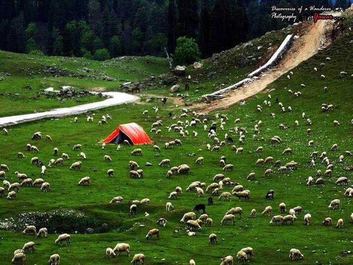 2N 3D Bhaderwah Package