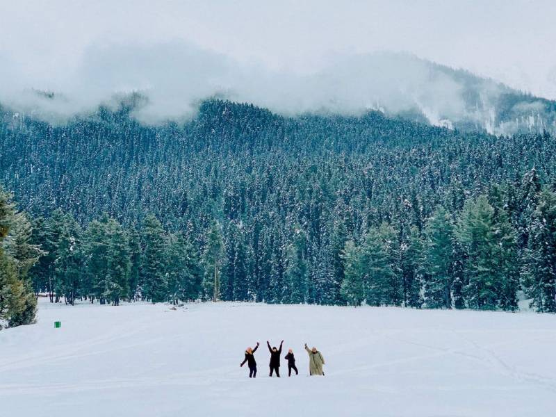 Kashmir 5Nights 6 Days Travel Package