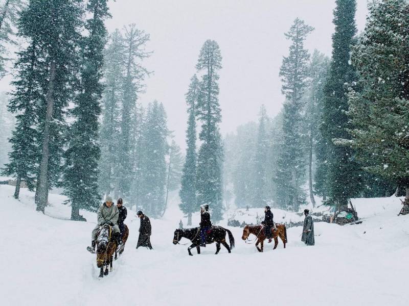 Kashmir 5Nights 6 Days Travel Package