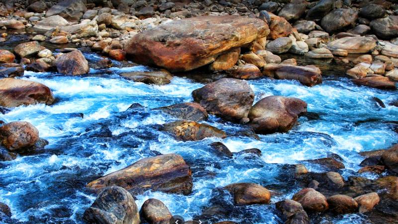 Dooars Tour Package 04n 05d with Kalimpong