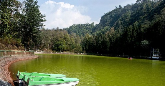 4n/5d Silkroute and Gangtok