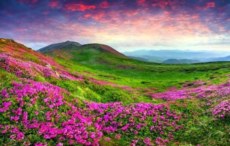 Explore North Sikkim