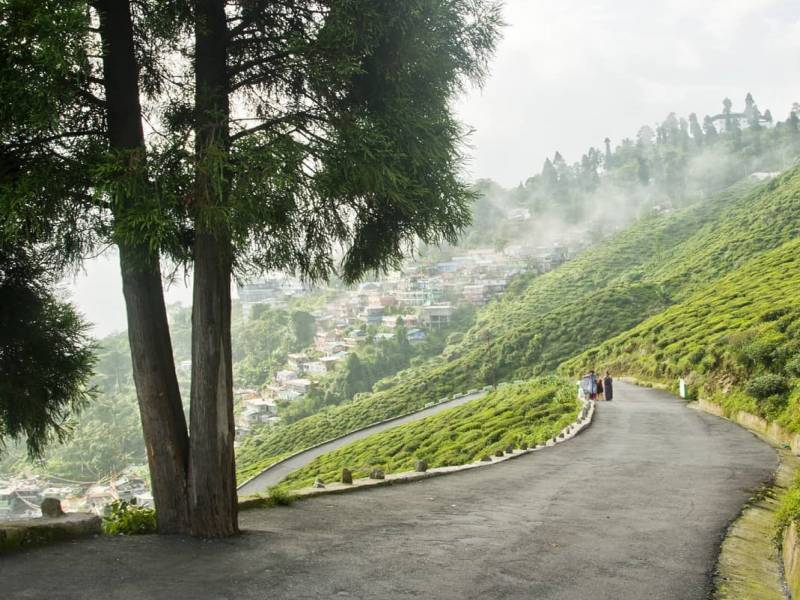 Darjeeling - Pelling - Gangtok - Kalimpong Tour