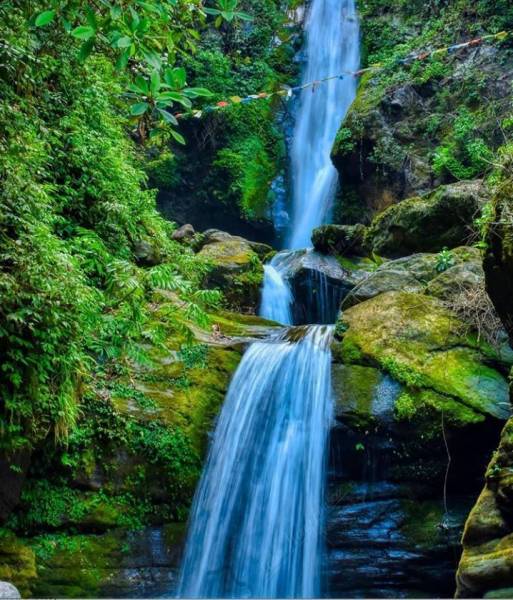 Darjeeling - Pelling - Gangtok - Kalimpong Tour