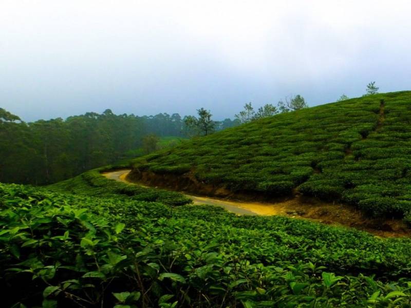 Queen Of The Hills 3 Nights - 4 Days Tour Image