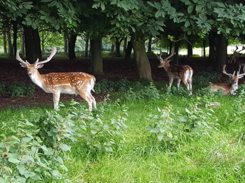 Forest Of Dooars 3 Nights - 4 Days Tour