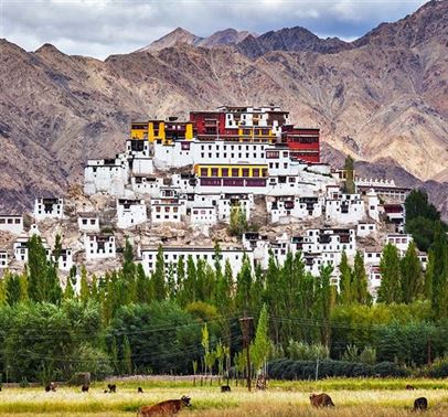 Ladakh Packages 4 Nights - 5 Days Image