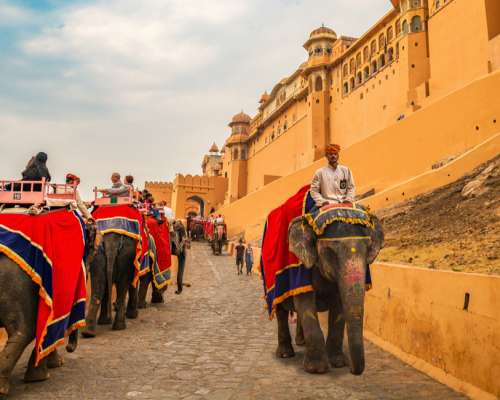 8 Nights 9 Days Royal Rajasthan Group Tour