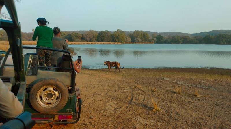 Ranthambhore Package