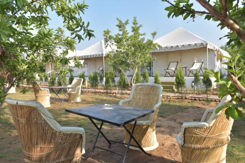 RANTHAMBHORE TOUR PAKAGE