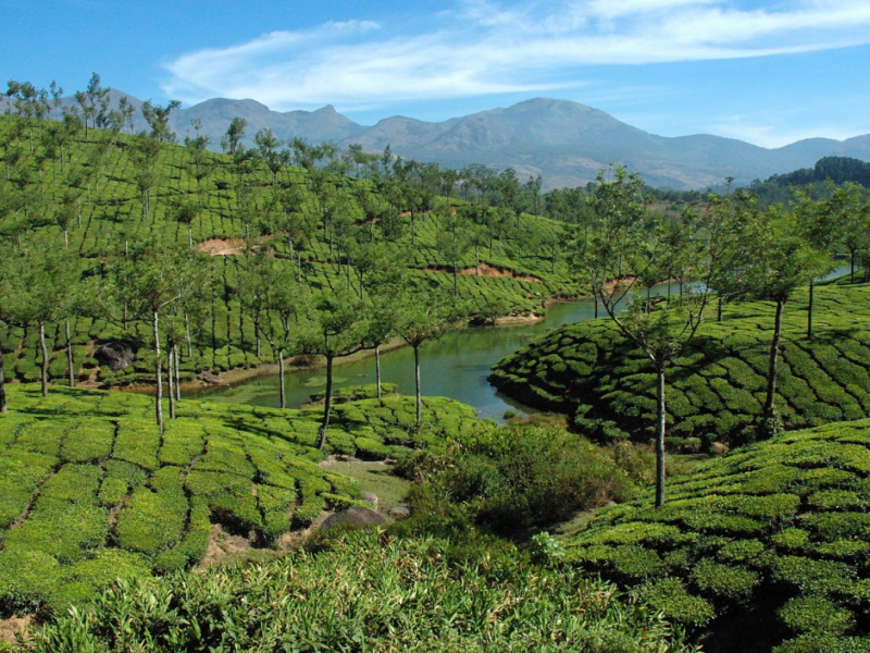 Kerala-God's Own Country