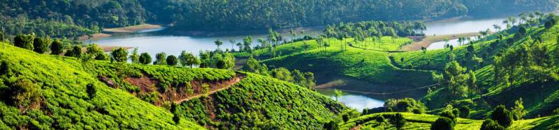 Misty Munnar 2 Night - 3 Days Tour