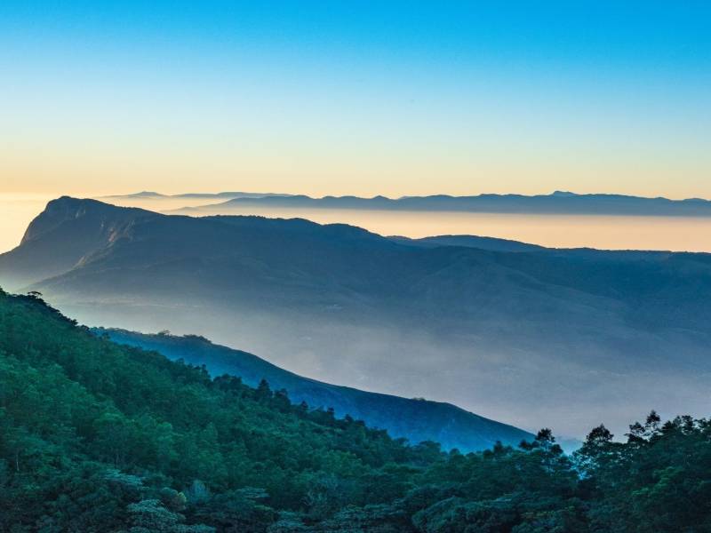 Kerala Honeymoon Tour Package