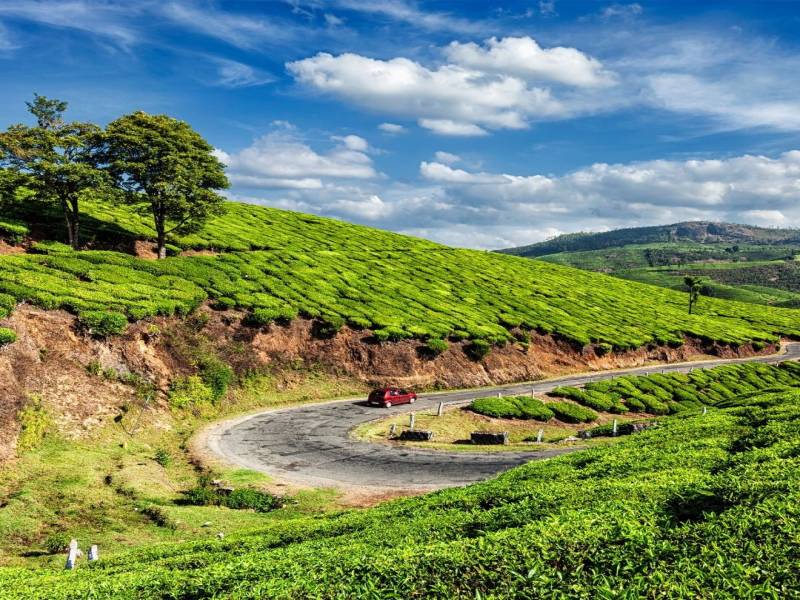 Kerala Honeymoon Tour Package