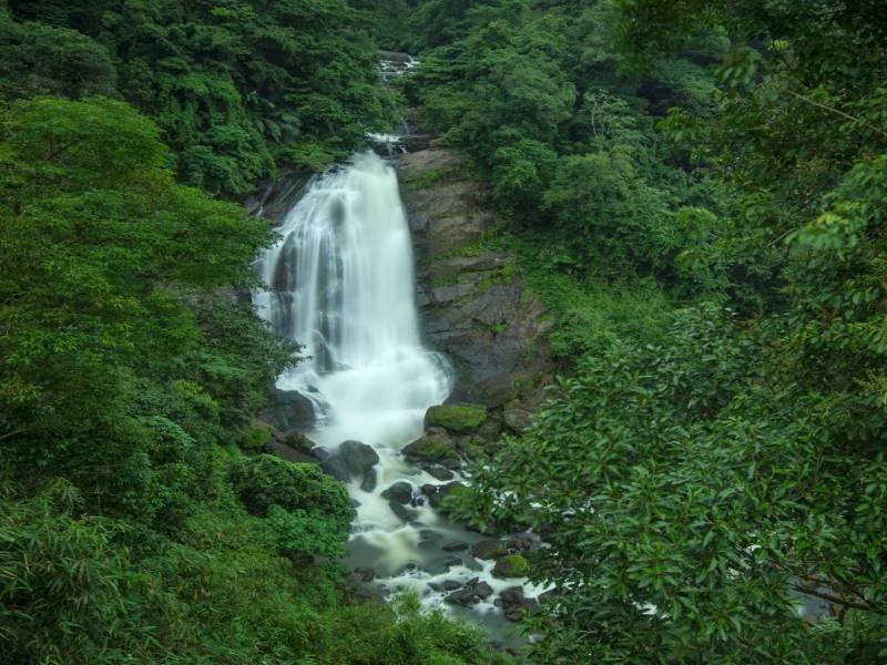 Kerala Honeymoon Tour Package