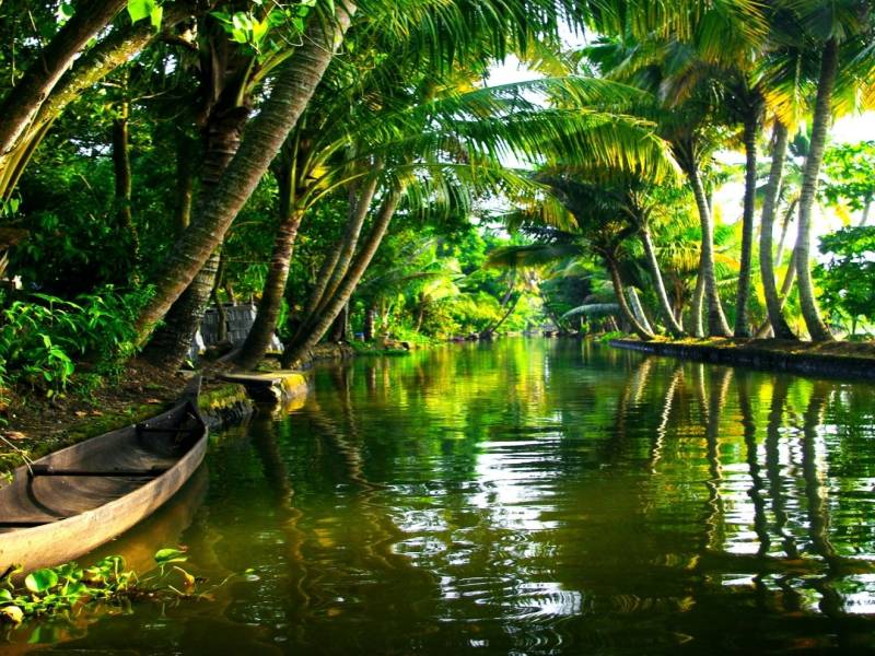 Kerala Honeymoon Tour Package