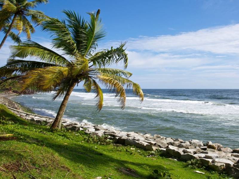 Kerala Honeymoon Tour Package