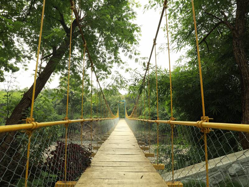 3 Nights/4 Days Rann Utsav