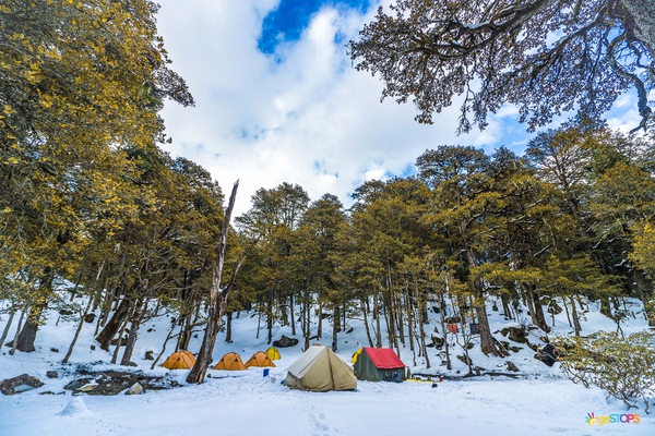 Kedarkantha Trek: the Winter Wonderland