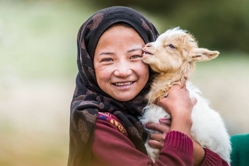 Captivating Ladakh 04 Nights 5 Days