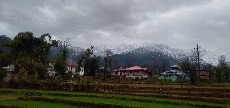 5 Nights 6 Days Tour Package to Shimla Manali and Leh