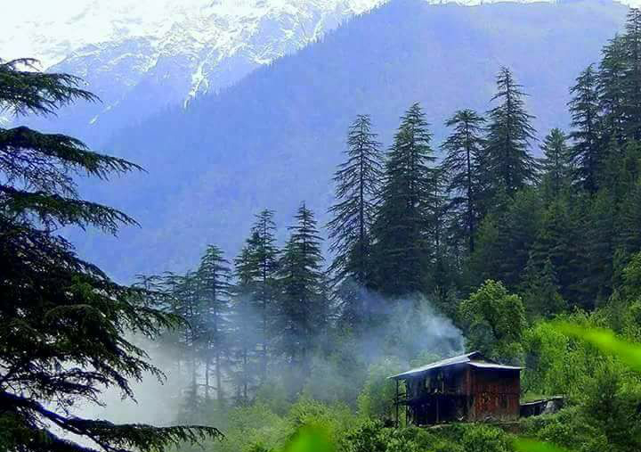 Shimla- Kasol- Kullu- Manali Tour