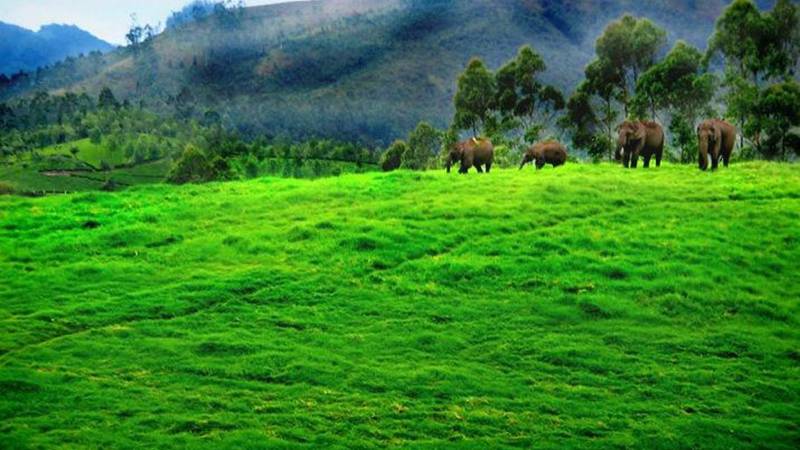 2 Nights 3 Days Kerela Package