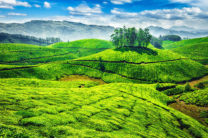 Kerala Holiday Package 3 DAYS