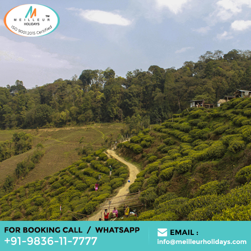 Darjeeling Gantok Package Tour - Meilleur Holidays